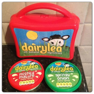 Dairylea New Flavours: Mighty Mature and Springy Onion