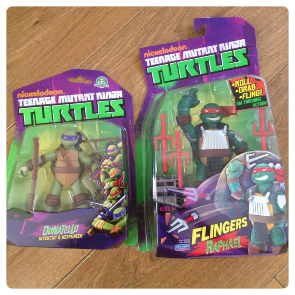 Teenage Mutant Ninja Turtles by Flair