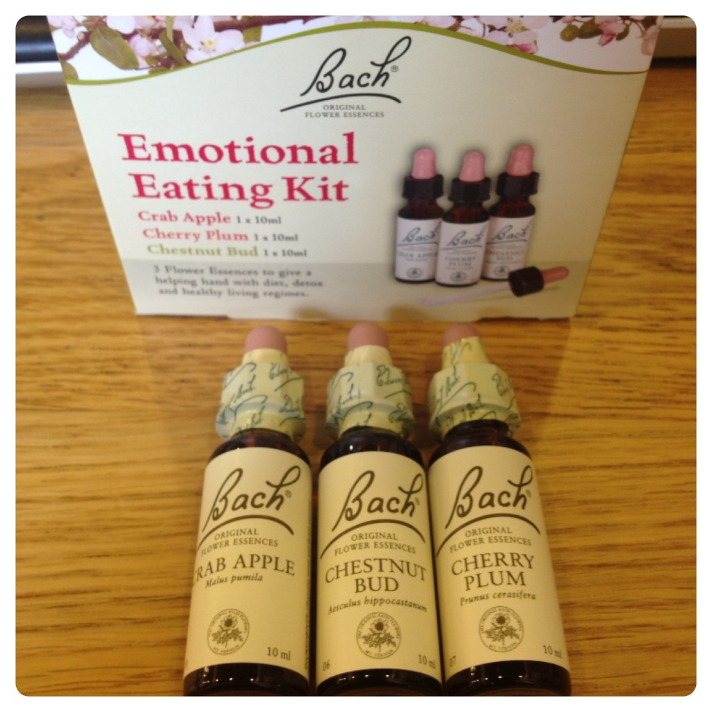 Bach Emotional Eating Kit 