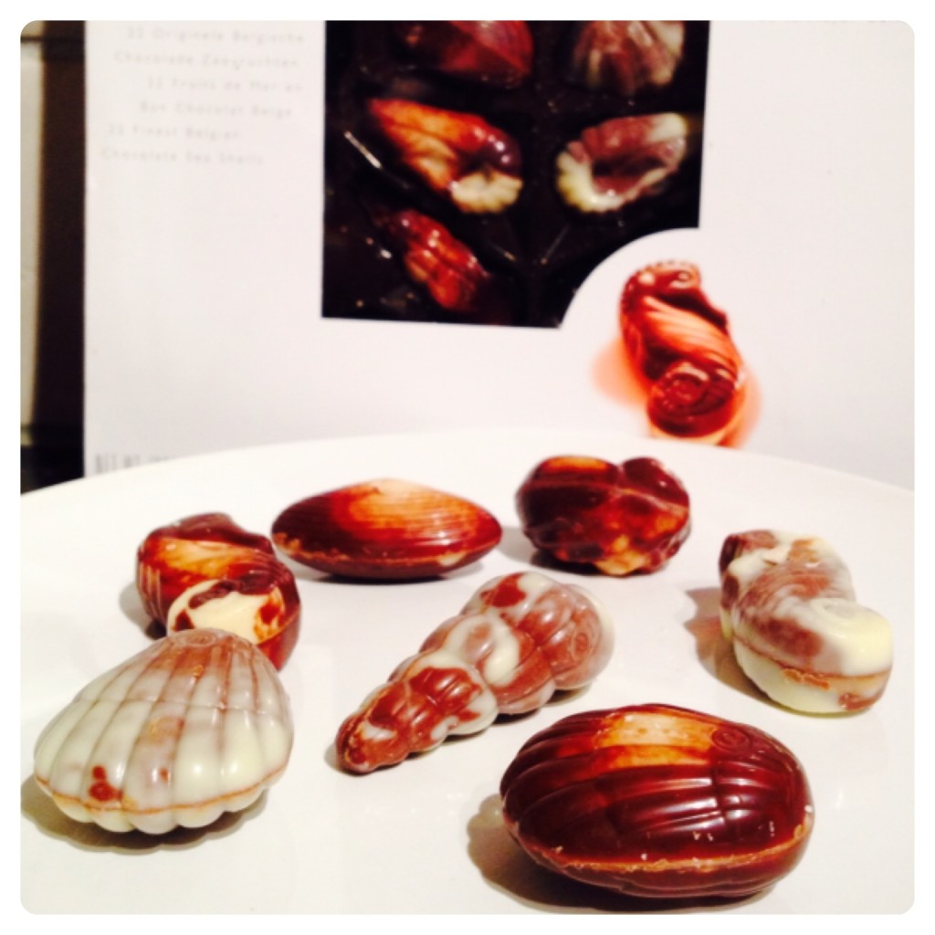 Guylian Finest Belgium Chocolate Sea Shells