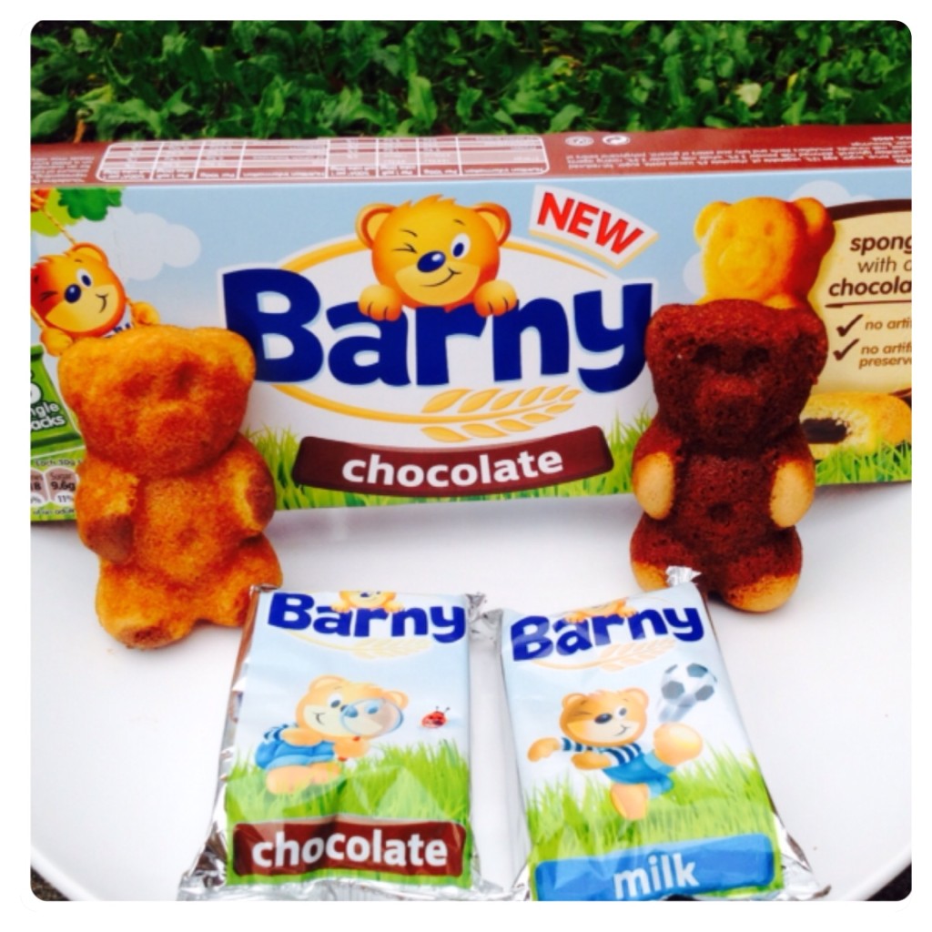 Barny - Bear Shaped Cake