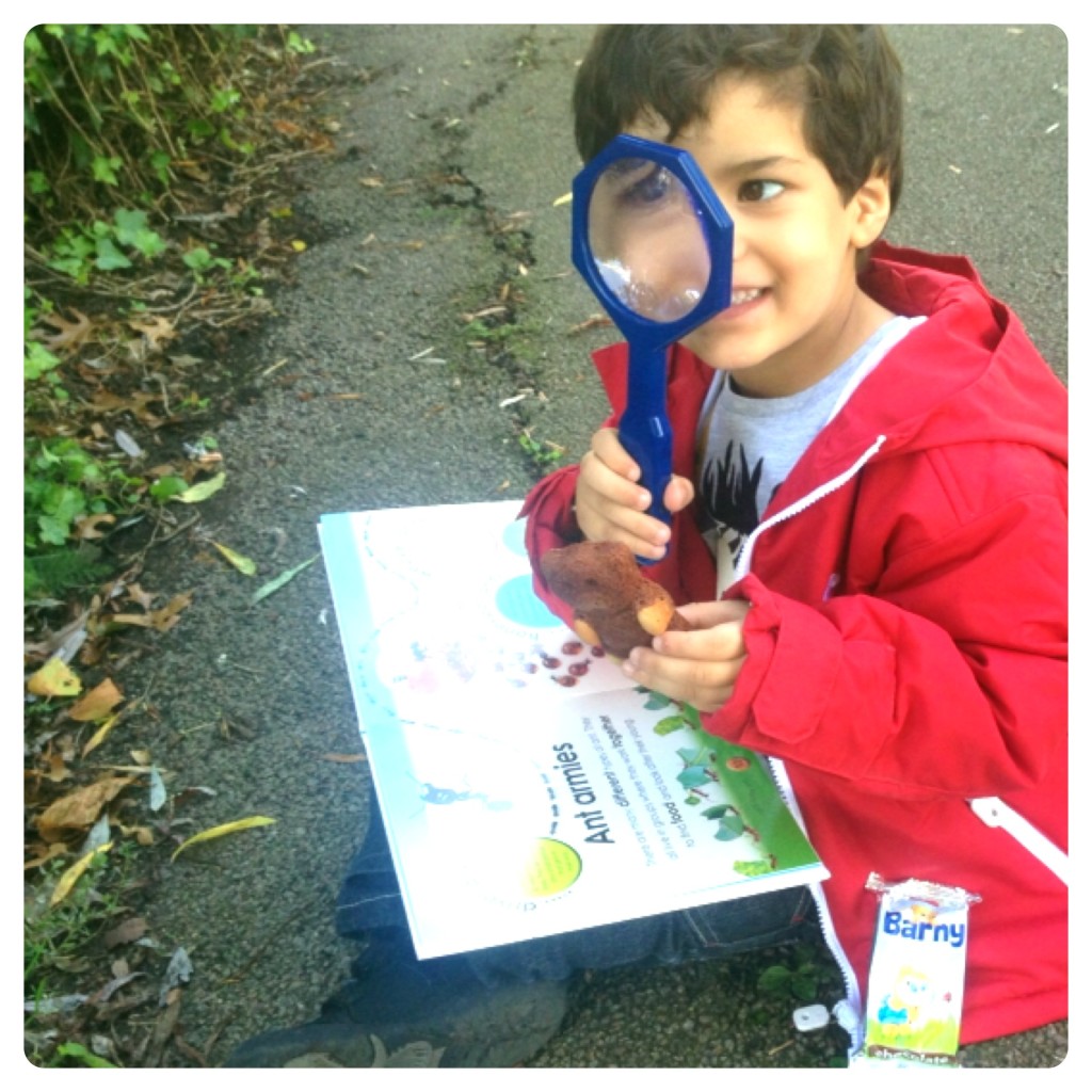 Exploring Bugs at our Local Park