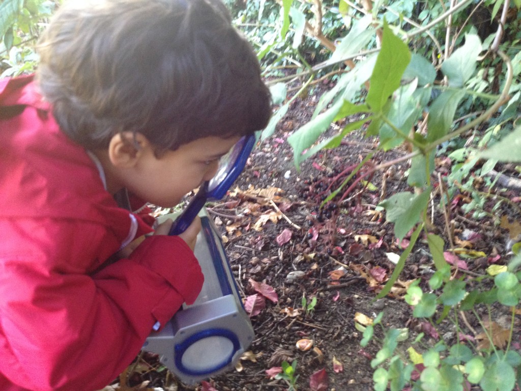 Family Fun: Exploring Nature