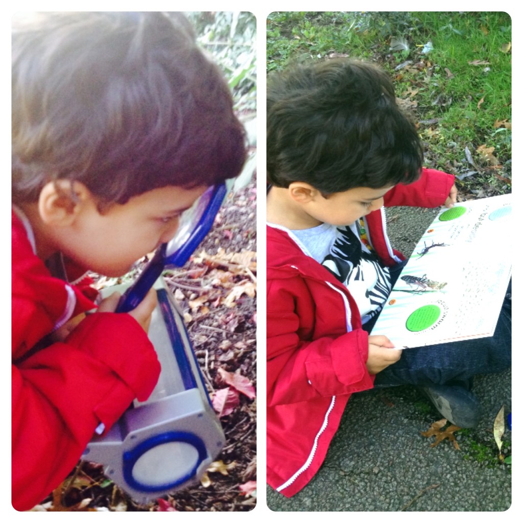 Exploring Nature: Bug Hunt