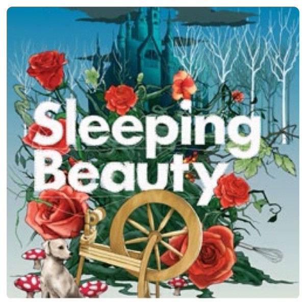 Sleeping Beauty Panto at Park Theatre