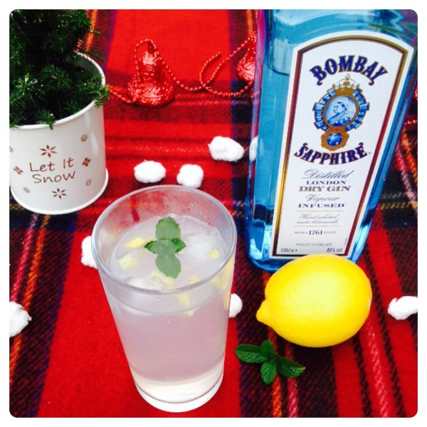 Gin and Tonic with a Festive Twist