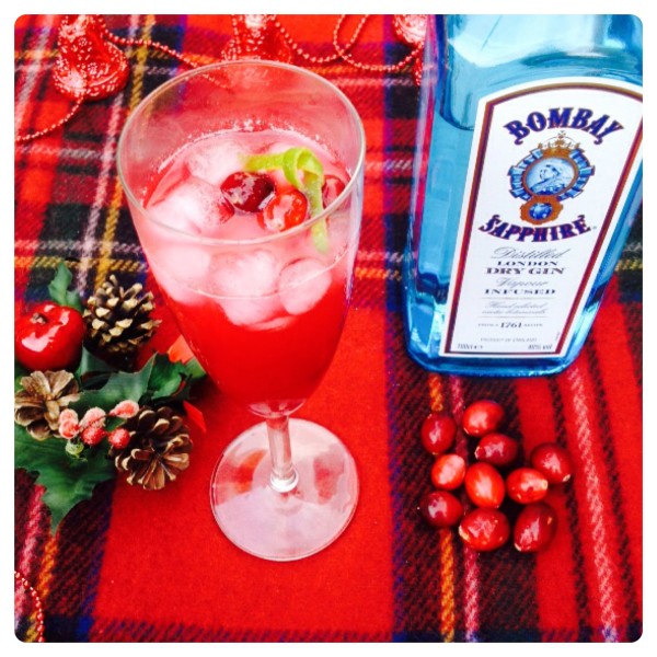 Christmas Cranberry Cocktail