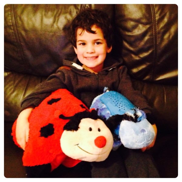 Little Man with Pillow Pets Ms Lady Bug and Camo Dog