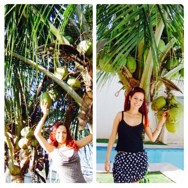 Favourite Flavour Inspired byCoconut Trees in Brazil