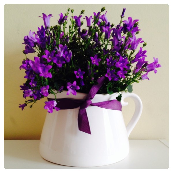 Mother’s Day Campanula Jug