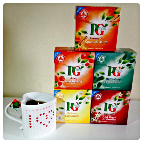 PG Tips Fruit and Herbal Teas Range