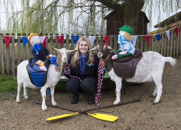 Goat Race at Willows Farm