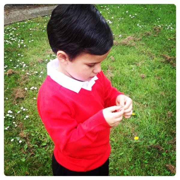 Trutex School Uniform: Red Jumper