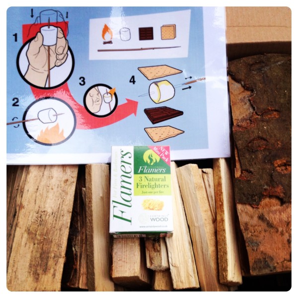 Certainly Wood Fun S’mores BBQ Package
