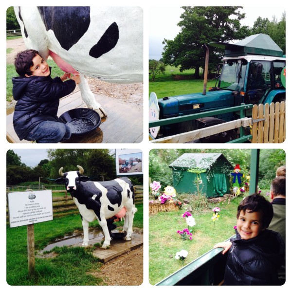 'Milking' Cow and Tristan the Runaway Tractor