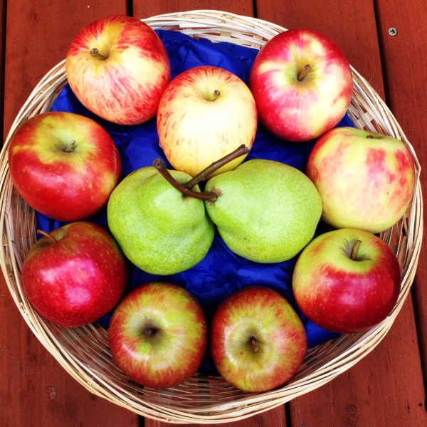 South African Apples and Pears