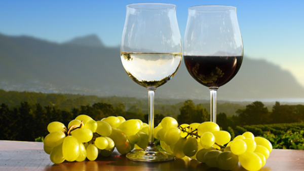 red and white with grapes