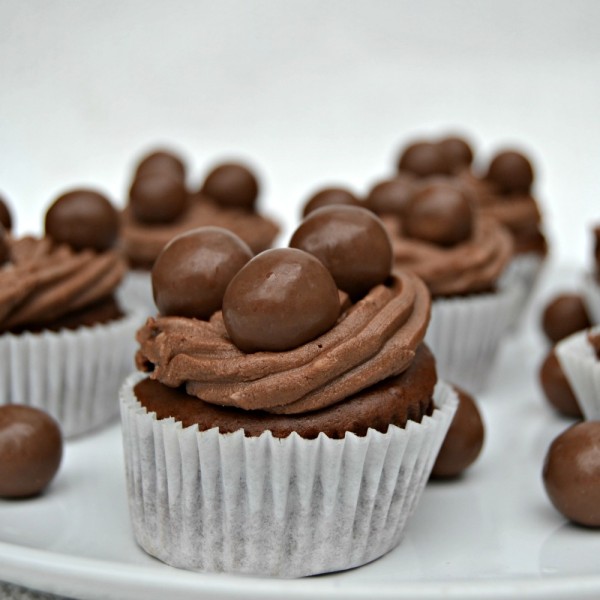 Chocolate Chip Cupcake Recipe