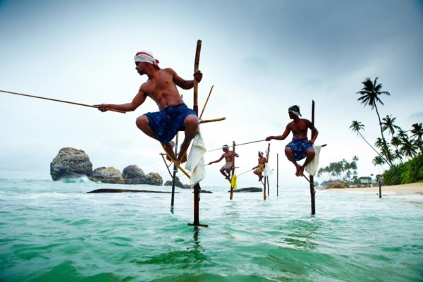 Local fisherman, fishing from stilts in the water at Weligama. Stilt fishermen, fishing from poles in the water. The Sri Lanka image: ©Matt Munro/Lonely Planet